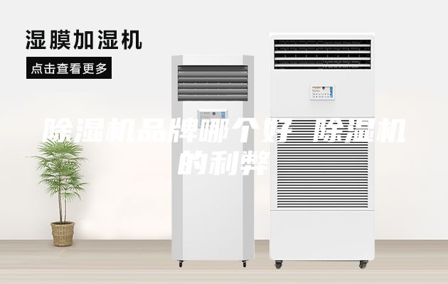 除濕機品牌哪個好 除濕機的利弊