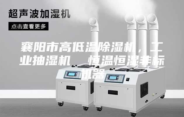 襄陽市高低溫除濕機，工業抽濕機  恒溫恒濕非標機器