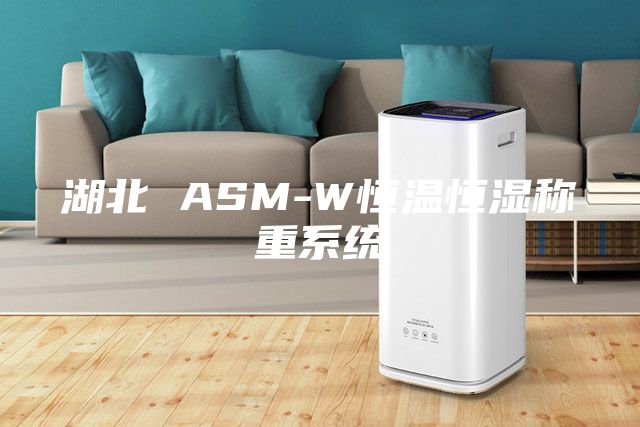 湖北 ASM-W恒溫恒濕稱重系統(tǒng)