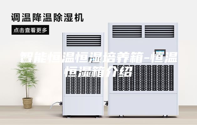 智能恒溫恒濕培養箱-恒溫恒濕箱介紹