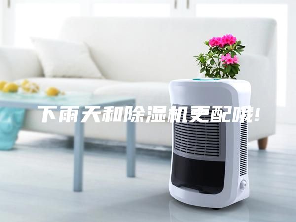 下雨天和除濕機(jī)更配哦!