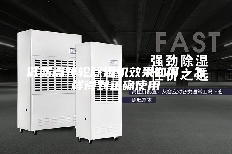 低露點轉輪除濕機效果如何，怎樣得到正確使用