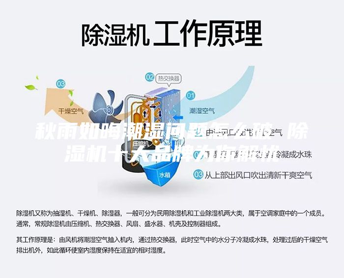秋雨如晦潮濕問題怎么破 除濕機十大品牌為你解憂