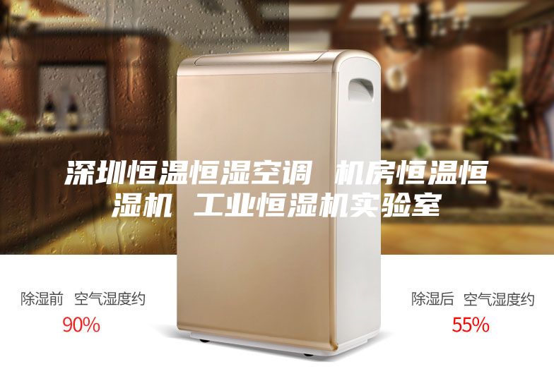 深圳恒溫恒濕空調 機房恒溫恒濕機 工業恒濕機實驗室