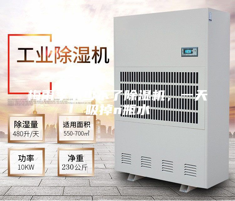 梅雨季節(jié)少不了除濕機，一天吸掉n瓶水