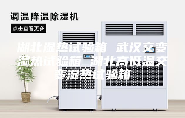 湖北濕熱試驗箱 武漢交變濕熱試驗箱 湖北高低溫交變濕熱試驗箱