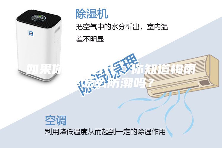 如果你生在古代，你知道梅雨季怎么防潮嗎？
