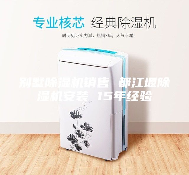 別墅除濕機(jī)銷售 都江堰除濕機(jī)安裝 15年經(jīng)驗(yàn)