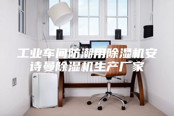 工業(yè)車間防潮用除濕機安詩曼除濕機生產(chǎn)廠家