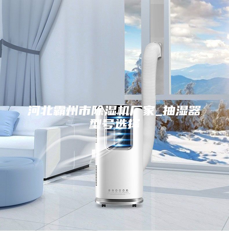 河北霸州市除濕機廠家_抽濕器型號選擇