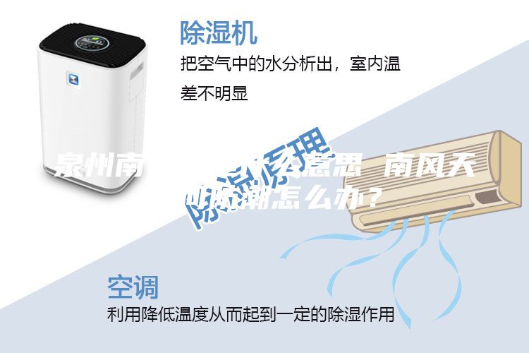泉州南風天是什么意思 南風天如何防潮怎么辦？