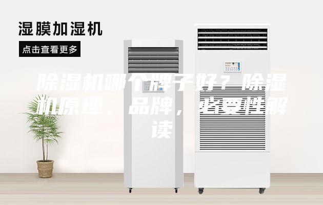 除濕機哪個牌子好？除濕機原理，品牌，必要性解讀