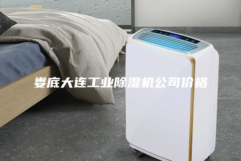 婁底大連工業除濕機公司價格
