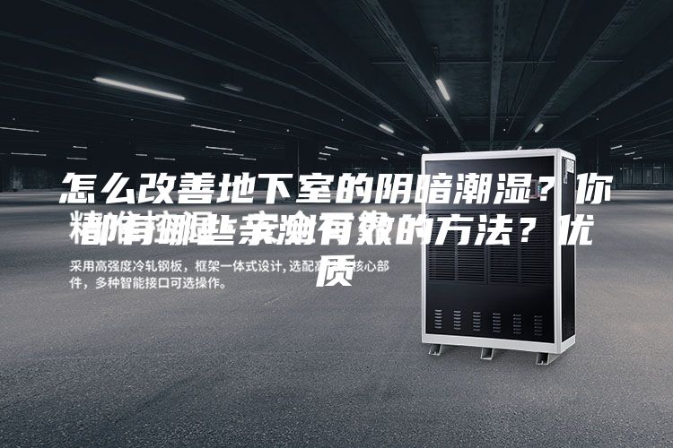 怎么改善地下室的陰暗潮濕？你都有哪些親測有效的方法？優(yōu)質(zhì)