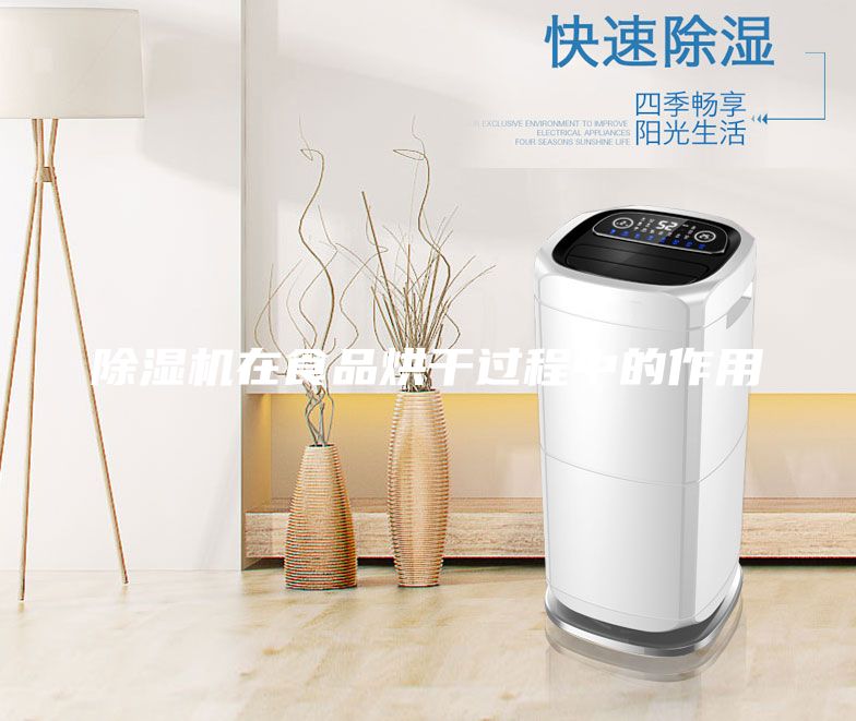除濕機在食品烘干過程中的作用