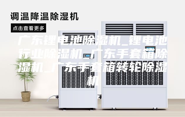 廣東鋰電池除濕機_鋰電池行業除濕機_廣東手套箱除濕機_廣東手套箱轉輪除濕機