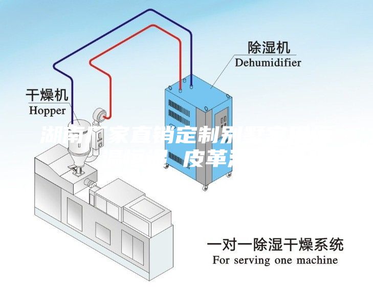 湖南廠家直銷定制別墅家用恒溫恒濕 皮革酒柜