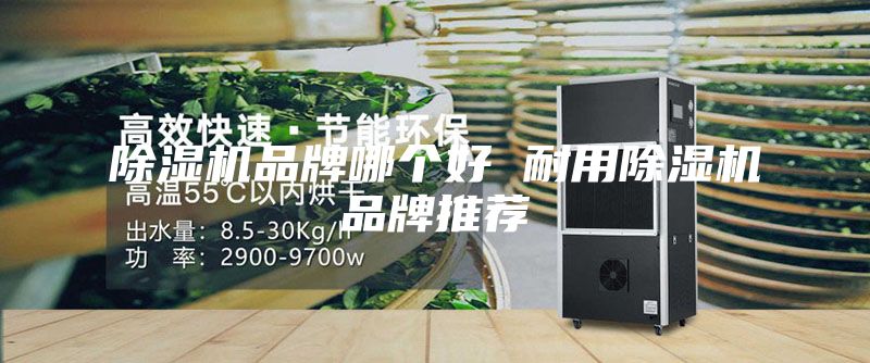 除濕機品牌哪個好 耐用除濕機品牌推薦