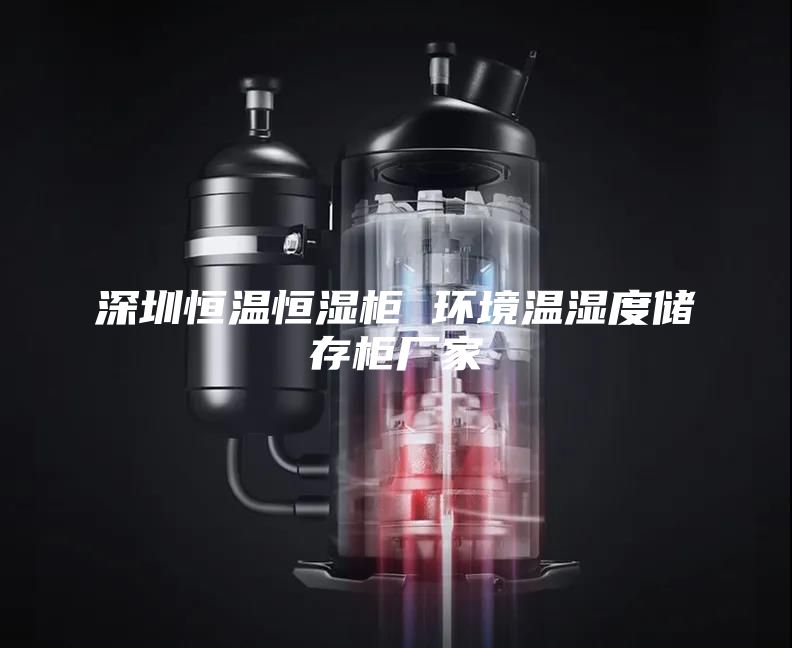 深圳恒溫恒濕柜 環(huán)境溫濕度儲存柜廠家