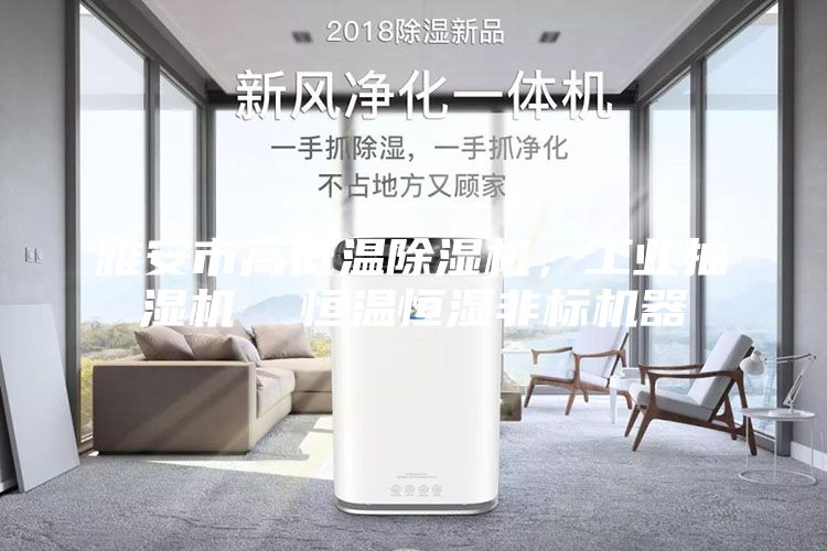 雅安市高低溫除濕機，工業抽濕機  恒溫恒濕非標機器