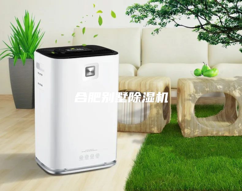 合肥別墅除濕機