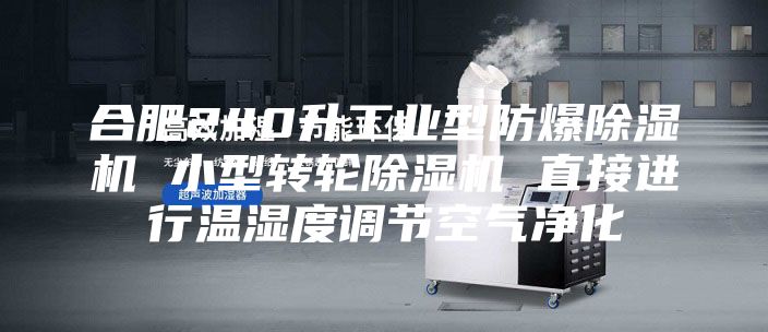 合肥240升工業(yè)型防爆除濕機(jī) 小型轉(zhuǎn)輪除濕機(jī) 直接進(jìn)行溫濕度調(diào)節(jié)空氣凈化