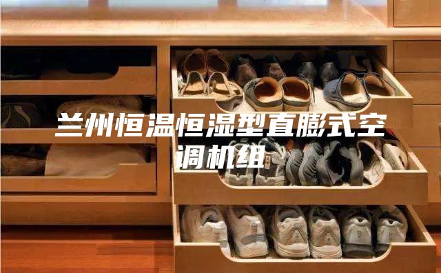 蘭州恒溫恒濕型直膨式空調機組