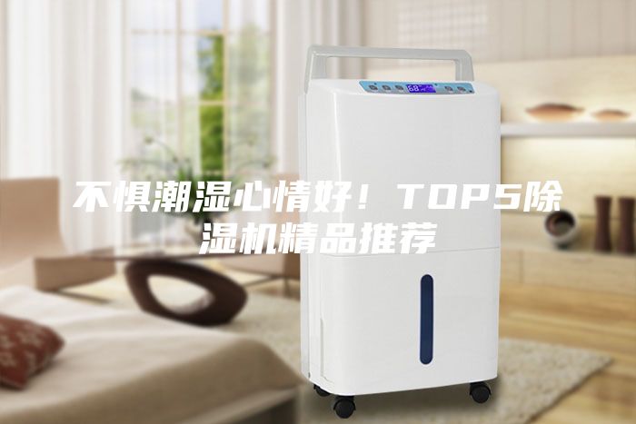 不懼潮濕心情好！TOP5除濕機精品推薦