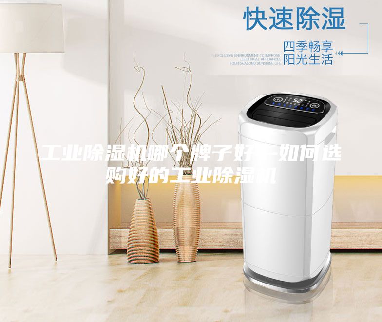工業(yè)除濕機(jī)哪個(gè)牌子好—如何選購好的工業(yè)除濕機(jī)