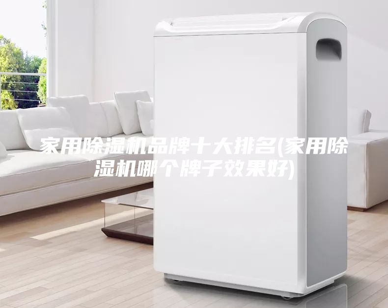 家用除濕機品牌十大排名(家用除濕機哪個牌子效果好)