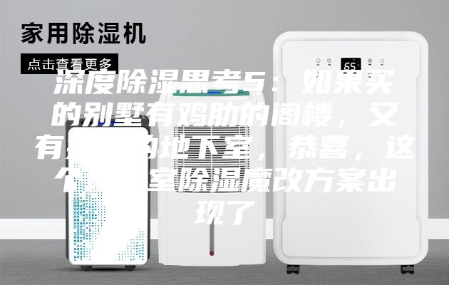 深度除濕思考5：如果買的別墅有雞肋的閣樓，又有操心的地下室，恭喜，這個地下室除濕魔改方案出現了