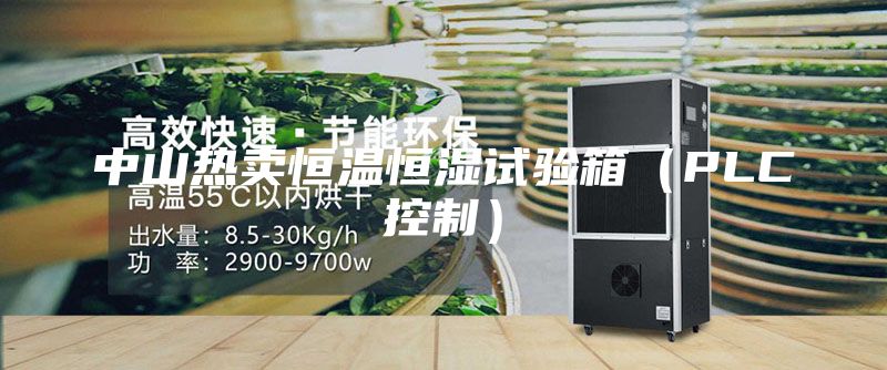 中山熱賣恒溫恒濕試驗箱（PLC控制）