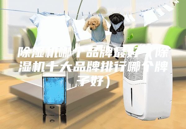 除濕機哪個品牌最好（除濕機十大品牌排行哪個牌子好）