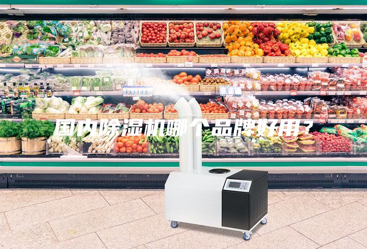 國內除濕機哪個品牌好用？
