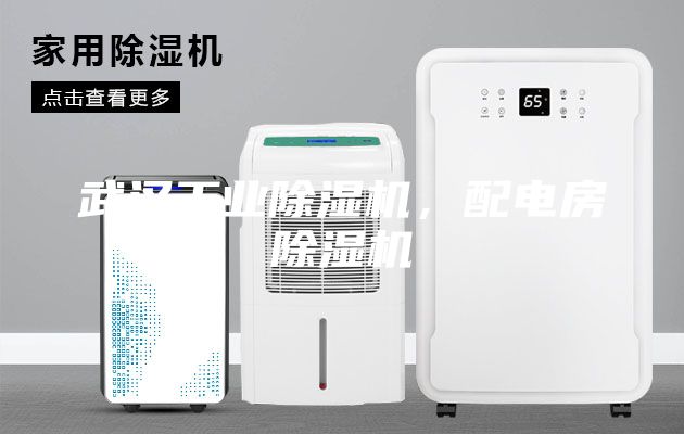 武漢工業除濕機，配電房除濕機