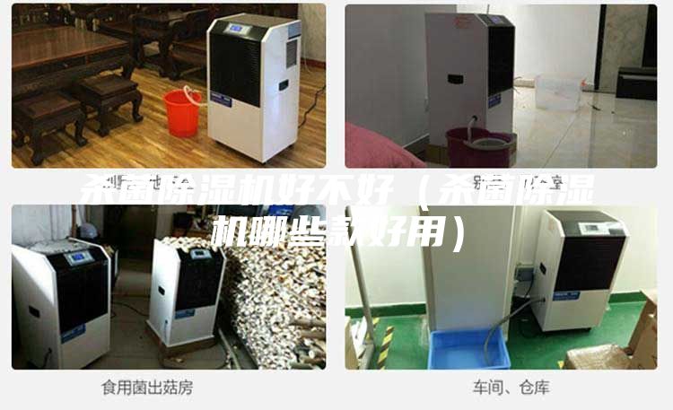 殺菌除濕機好不好（殺菌除濕機哪些款好用）