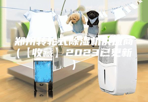 鄭州轉輪式除濕機供應商(【收藏】2023已更新)