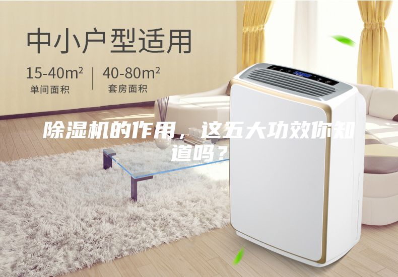 除濕機(jī)的作用，這五大功效你知道嗎？