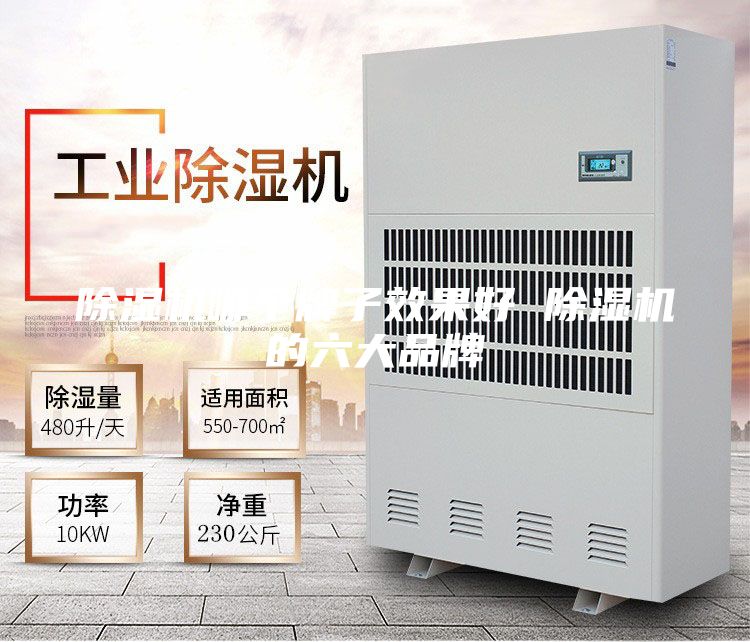除濕機(jī)哪個牌子效果好 除濕機(jī)的六大品牌