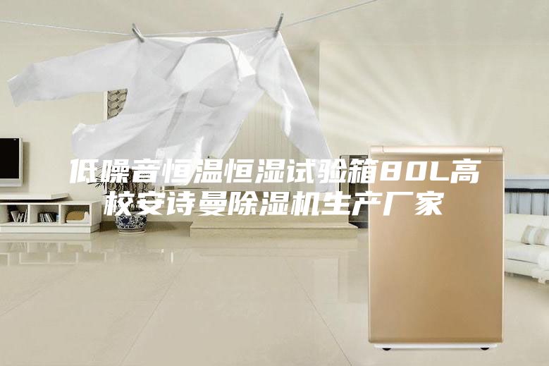 低噪音恒溫恒濕試驗箱80L高校安詩曼除濕機生產廠家
