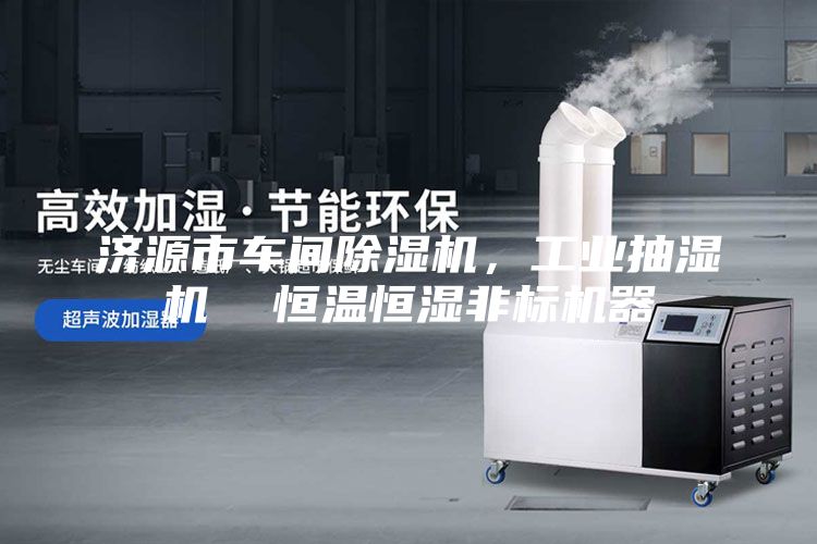 濟源市車間除濕機，工業抽濕機  恒溫恒濕非標機器