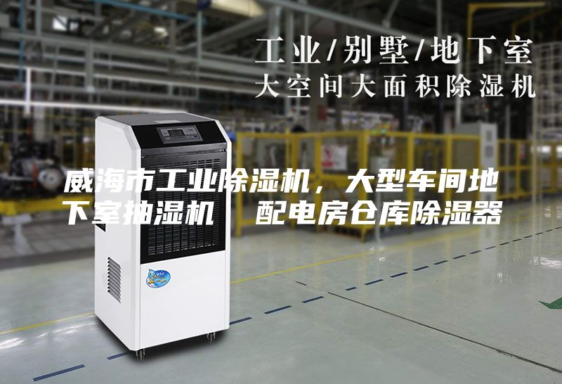 威海市工業(yè)除濕機(jī)，大型車間地下室抽濕機(jī)  配電房倉(cāng)庫(kù)除濕器