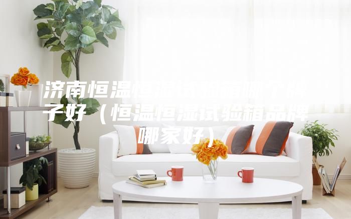 濟南恒溫恒濕試驗箱哪個牌子好（恒溫恒濕試驗箱品牌哪家好）
