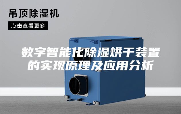 數(shù)字智能化除濕烘干裝置的實現(xiàn)原理及應用分析