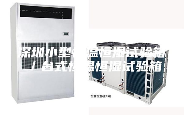 深圳小型恒溫恒濕試驗(yàn)箱/臺式恒溫恒濕試驗(yàn)箱