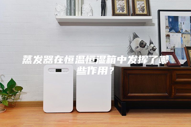 蒸發器在恒溫恒濕箱中發揮了哪些作用？