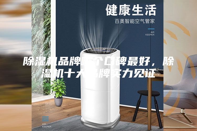 除濕機(jī)品牌哪個(gè)口碑最好，除濕機(jī)十大品牌實(shí)力見證