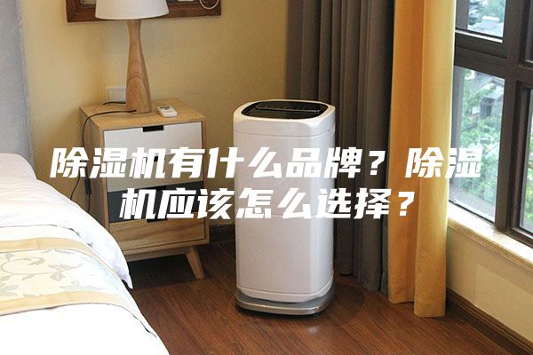 除濕機有什么品牌？除濕機應該怎么選擇？