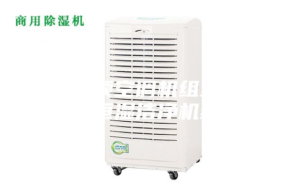 臥式吊頂空調(diào)機(jī)組室內(nèi)恒溫恒濕潔凈機(jī)組