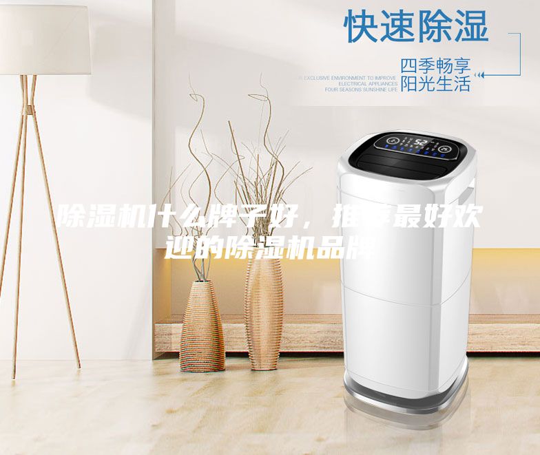 除濕機什么牌子好，推薦最好歡迎的除濕機品牌